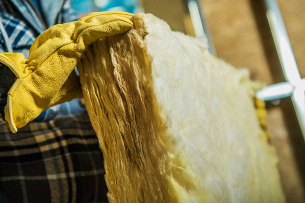 Professional Insulation Contractor in New Hope, MS