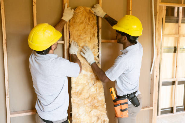 Best Insulation Removal  in New Hope, MS